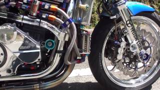 Kawasaki Custom ZRX1100極ピカ