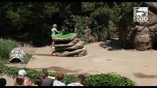 Ameritas Wings of Wonder Highlights 2022 - Cincinnati Zoo