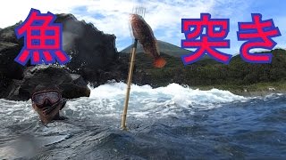 魚突いて食べるぞ！in 八丈島　完全版