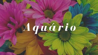 Aquário Novembro 2019/Geral Amor Trabalho Dinheiro/Tarot