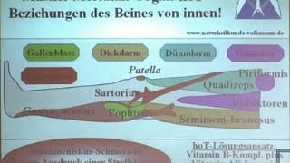 Fibromyalgie, orale Schmerzlöschung, Arthritis - Orthomolekulare Schmerztherapie mit Vitaminen etc.