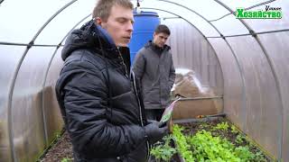 Что ОБЯЗАТЕЛЬНО нужно сделать с томатами за 2 дня до высадки в грунт