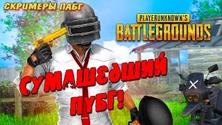 Сумашедший пубг! ☢ СТРИМ ☢ СКРИМЕРЫ ПАБГ
