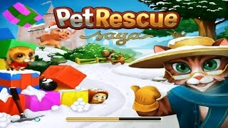 Pet Rescue Saga, level 681