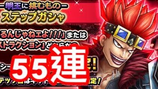 【サウスト 】OPTS 名聲基德 55連 （2號） 海賊王 萬千風暴  One Piece Thousand Storm 航海王 KitC