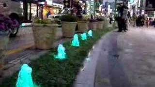 something in Nampo Dong of Busan
