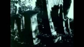 Steve Hackett - Twice around the Sun