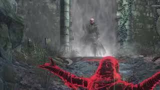 Salty Fog Runner - Dark Souls 3(w/Hatemail)