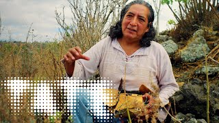 Fernando Palma Rodríguez – 'There's no room for ghosts' 