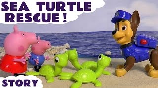 Peppa Pig Paw Patrol Sea Turtle Rescue with Play Doh Toys and Thomas and Friends English Episode