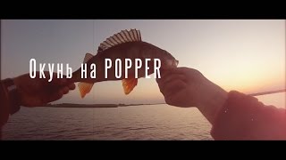 Окунь на поппер TsuYoki Bouncer и воблеры  Yo-Zuri. Реальные звуки природы !