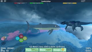 Ledsichthys Vs Megavore and more!! Dinosaur simulator Roblox