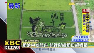 最新》稻浪中划龍舟 苑裡彩繪稻田超吸睛