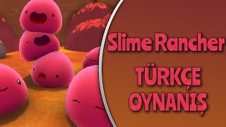 Slime Rancher : Türkçe Oynanış / Bölüm 7 - Asıl Eğlence Şimdi Başlıyor!