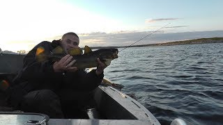 Рыбалка.Белое море.Quintrex 390.Шишига.