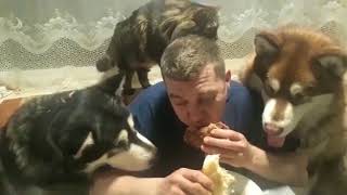 Ах, какой ужин!