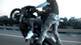T-REX Rippin up tha streetz!