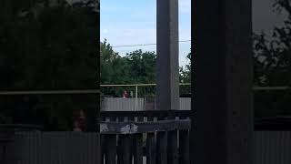 Заметели без одежды мальчика на крыщы
