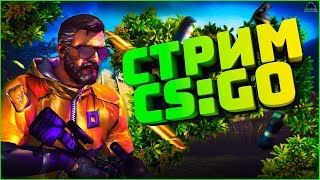 СТРИМ ПО CS:GO // ЧТО НОВОГО В ЭТОЙ ИГРЕ ? ? ?  //ЗАЛЕТАЙ !!!