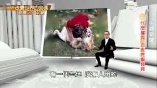 人獅奇緣 久別重逢超催淚！│郝廣才在中視 201512115