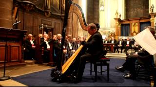 Dylan Cernyw, Internationally renowned harpist.
