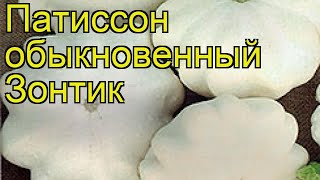 Патиссон обыкновенный Зонтик. Краткий обзор, описание характеристик, где купить саженцы Zontik