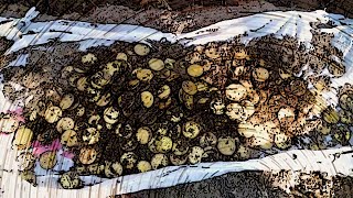 #КЛАД В ЛЕСУ 2016! ШОК ОТ НАХОДОК! #THE TREASURE IN THE FOREST 2016! THE SHOCK OF FINDS!