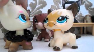 LPS:Ляпы или какой фигней я маюсь во время съемки(The and)