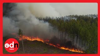 Blazing Wildfires THREATEN Argentina's Largest Ecosystem