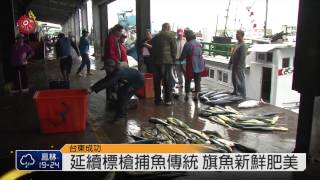 東海岸拚觀光 成功旗魚祭登場 2014-11-15 TITV 原視新聞