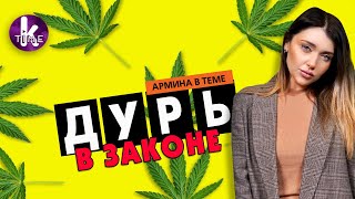 МАРИХУАНА ДЛЯ СОРОСА: кто и для чего лоббирует легализацию каннабиса в Украине | Армина в теме #7