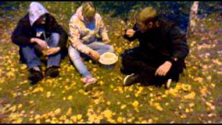 Redquest. Кинокомедия команды DozoR_Novosib.