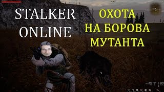 Охота на борова мутанта в Stalker Online. 2К