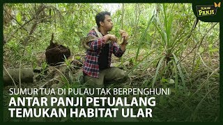 Panji Petualang Bertemu Habitat Ular di Pulau Tak Berpenghuni - TEMAN PANJI