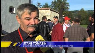 Okradli najstarejšo trto