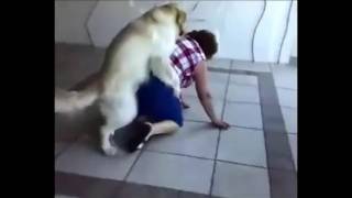 Откусила яйца..беее, но аутотренинг радует.