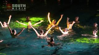 Svetosavski BAL NA VODI 2017 - Klub za sinhrono i umetničko plivanje Niš