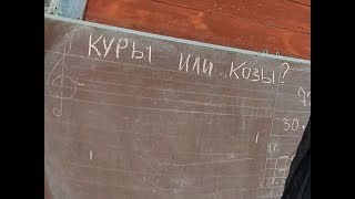 Выгоднее куры или козы