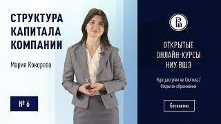 Структура капитала компании: Показатели структуры капитала компании #6