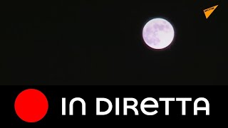 "Luna della fragola" a Teheran