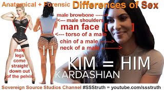 Can YOU tell the Sexes Apart? Male-to-Female MTF Transgenders + Transvestigations SSS Truth Channel
