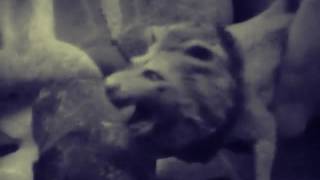 Дикие духи 1 серия