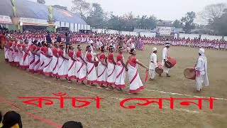 Kancha Sona Jhumoir Dance Exhibition  New HD Jhumoir  Assam Deser Chai k Bagane