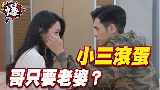 《多情大爆爆》多情城市 EP288 小三滾蛋 哥只要老婆？