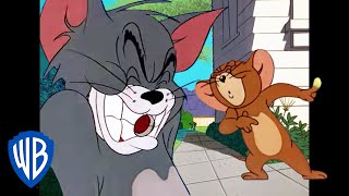 Tom und Jerry auf Deutsch ???????? | Autsch, das tat bestimmt weh! ???? | WB Kids