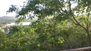 IMGP0469