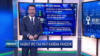 Hasrat IPO Tak Mati Karena Pandemi