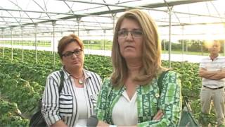 Koalicioni LDK, AKR dhe Alternativa takohen me fermerët e Rogovës së Hasit - Lajme