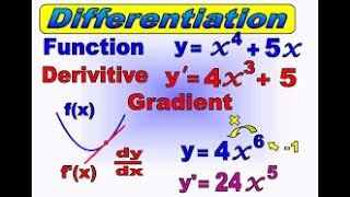 FSc II Differentiation MCQs Part 2