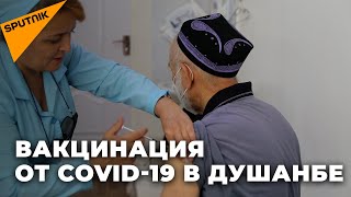 Вакцинация от COVID-19 в Душанбе